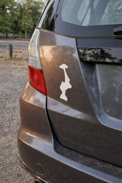 When a State Sticker Is Flipped: The Quiet Meaning Behind the Upside-Down Washington Symbol