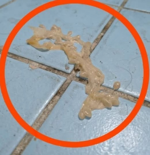 What I Found in My Girlfriend’s Bathroom Turned Out to Be Completely Harmless