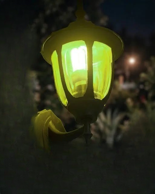 The Meaning of Green Porch Lights in Different Communities