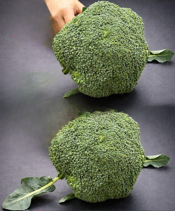 Is Washing Broccoli With Just Water Enough? The Proper Cleaning Method Explained