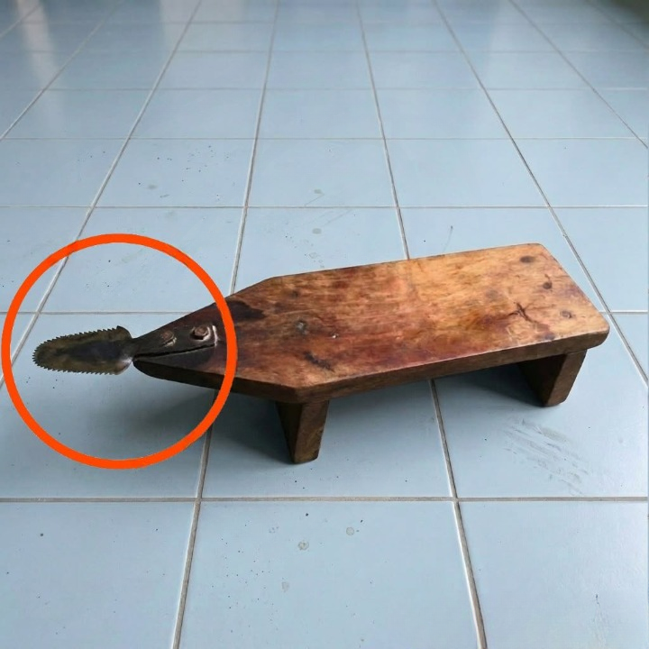Forgotten Object in an Old Garage Turns Out to Be a Traditional Coconut Grater Tool—How a Simple Household Item Revealed a Piece of Culinary History and Cultural Heritage