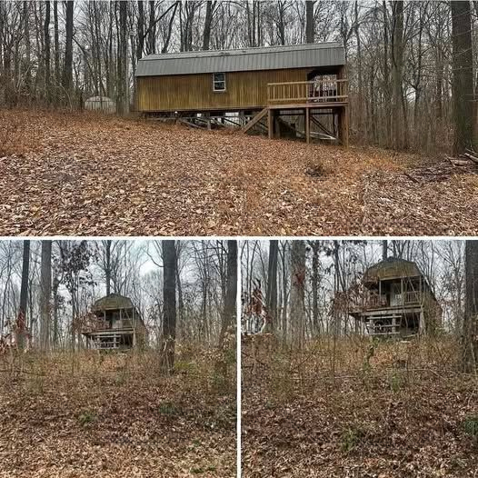 Partially Wooded 0.167-Acre Lot with Unfinished Cabin and Loft – A Blank Canvas for Your Vision