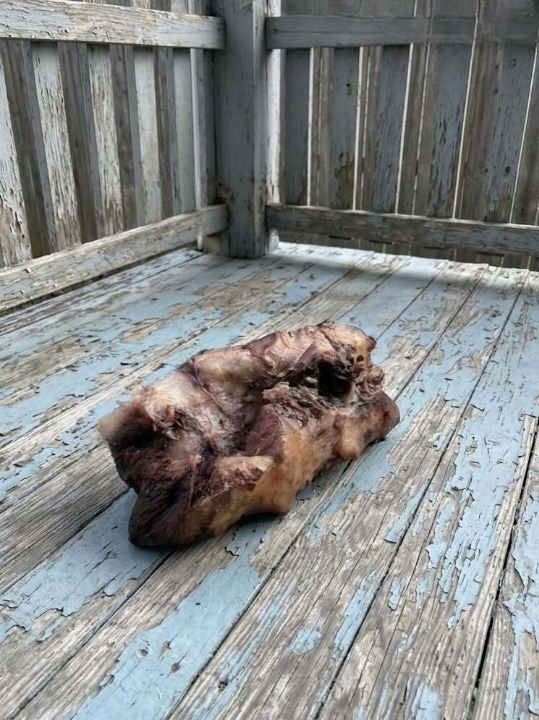 I Stepped Outside With My Morning Coffee and Found Something Terrifying on My Porch