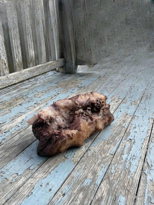 I Found a Strange, Terrifying Object on My Porch — The Truth Behind It Was More Disturbing Than I Expected