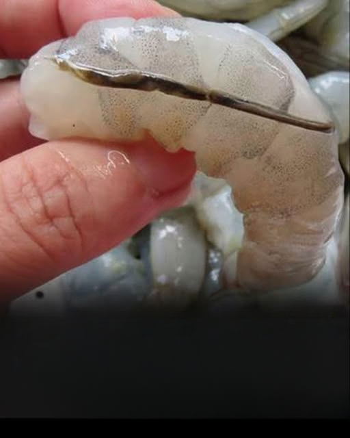 What Happens If You Eat the Black Vein in a Shrimp’s Tail? The Truth About the “Digestive Line”