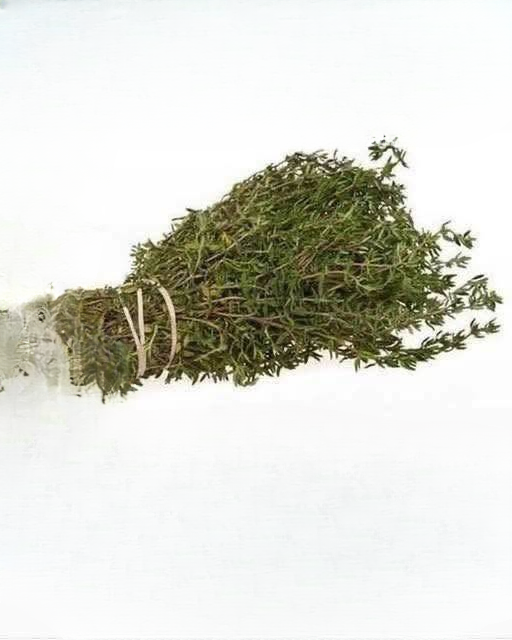 The Most Potent Herb Nature Has to Offer? Why Oregano Oil Has Earned Its Reputation—and Why It Should Be Used With Care