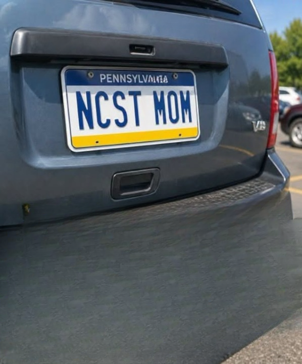 The License Plate That Looked Ordinary Until People Saw It From a Different Angle