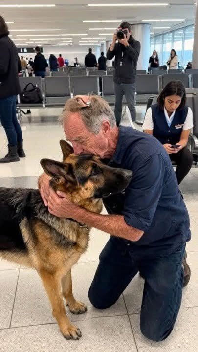 My K9 Partner Was Supposedly Lost in a 2020 Kennel Fire — Then I Found Him at Gate B14